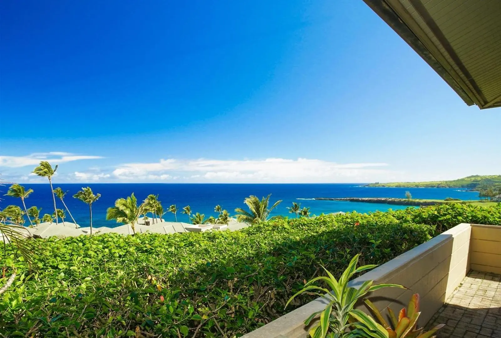 2915 Kapalua Ridge Apartment Kahana United States
