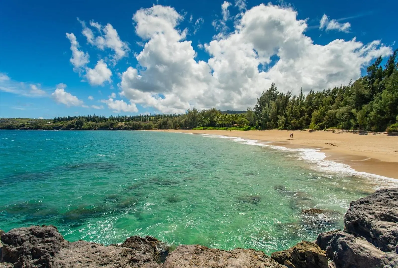 2915 Kapalua Ridge Apartment Kahana