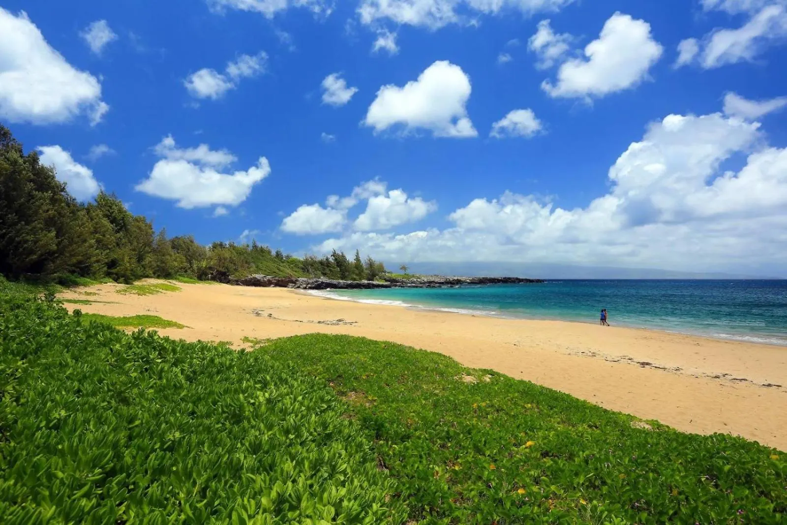 2915 Kapalua Ridge Apartment Kahana